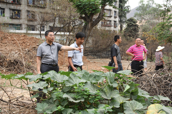 学院清理校园开荒种地